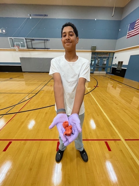 BH 8th grade student at the Healthcare Career Fair