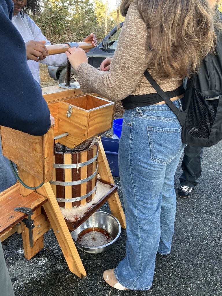 Apple pressing
