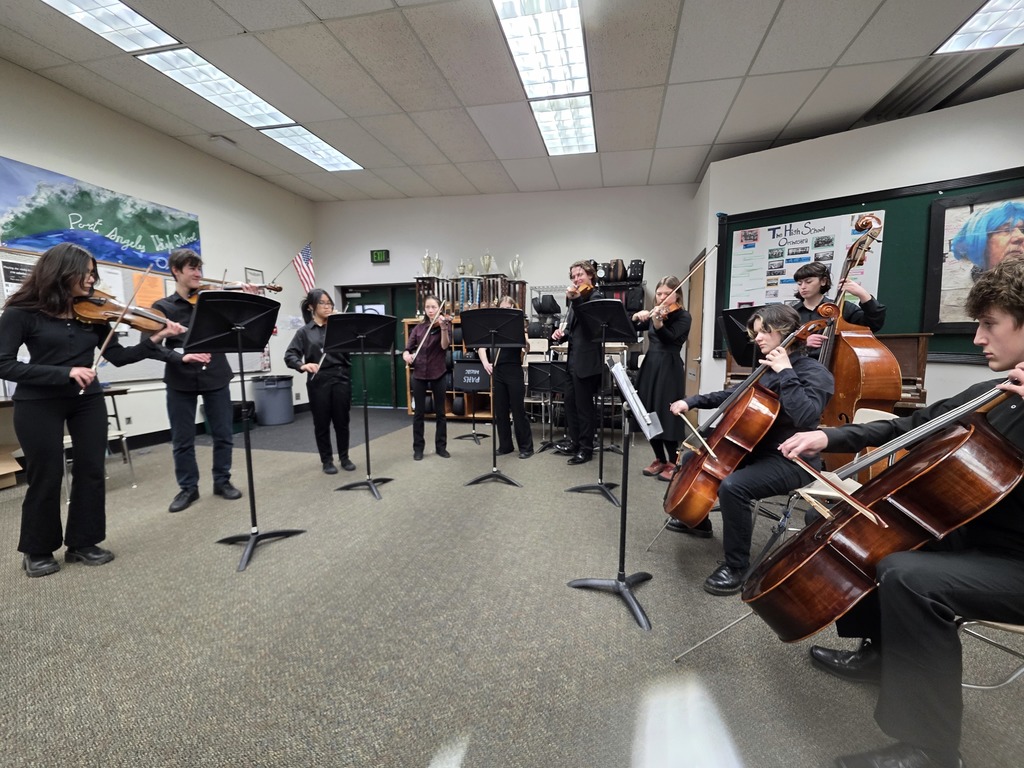 PTHS orchestra students perform at regionals