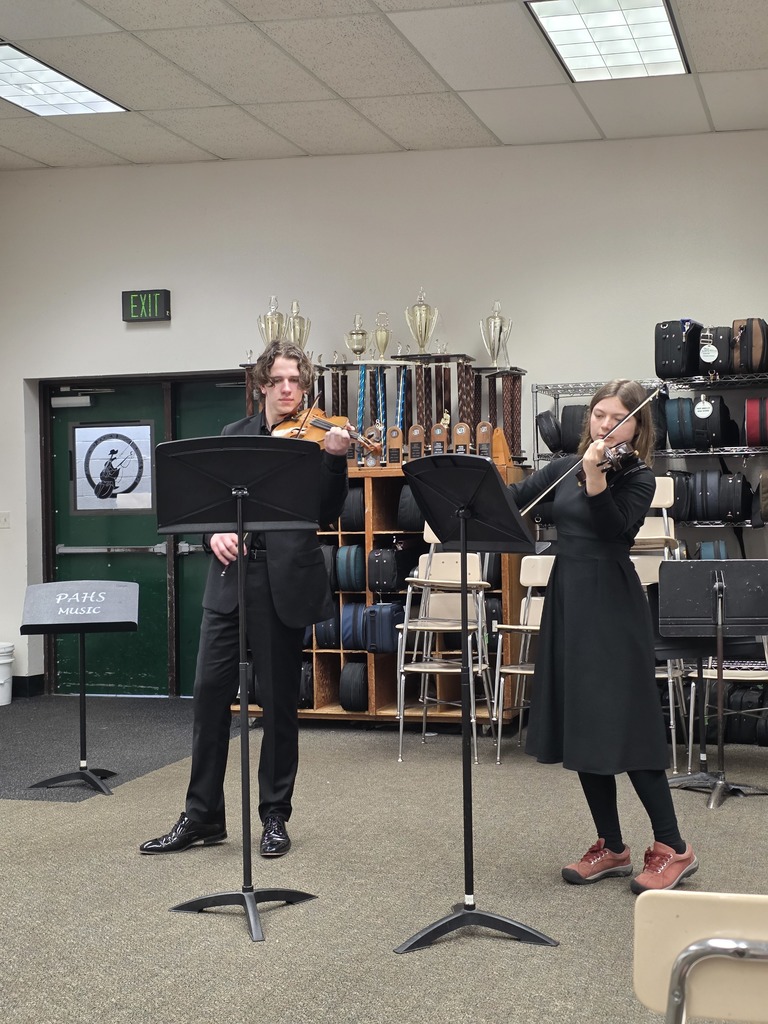 PTHS orchestra students perform at regionals