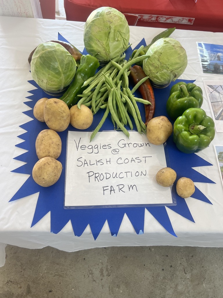 Various veggies and produce from district garden