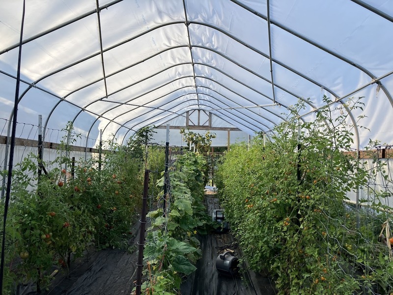 Hoop House growing food 