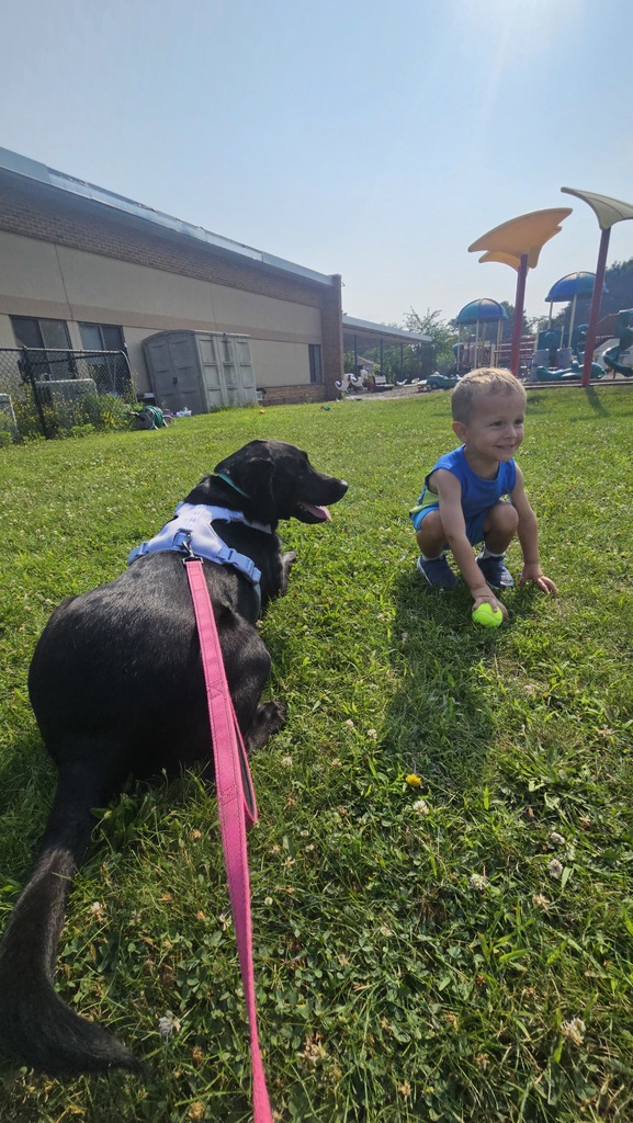 dog and toddler boy outside