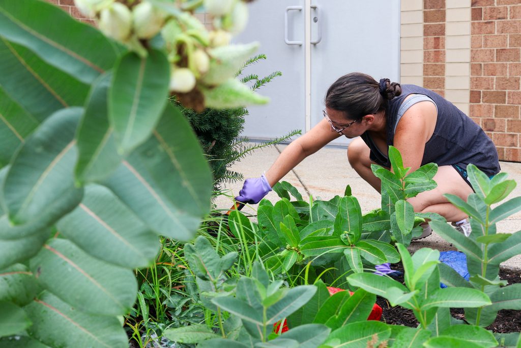 a woman pulls weeds outside an elementary school