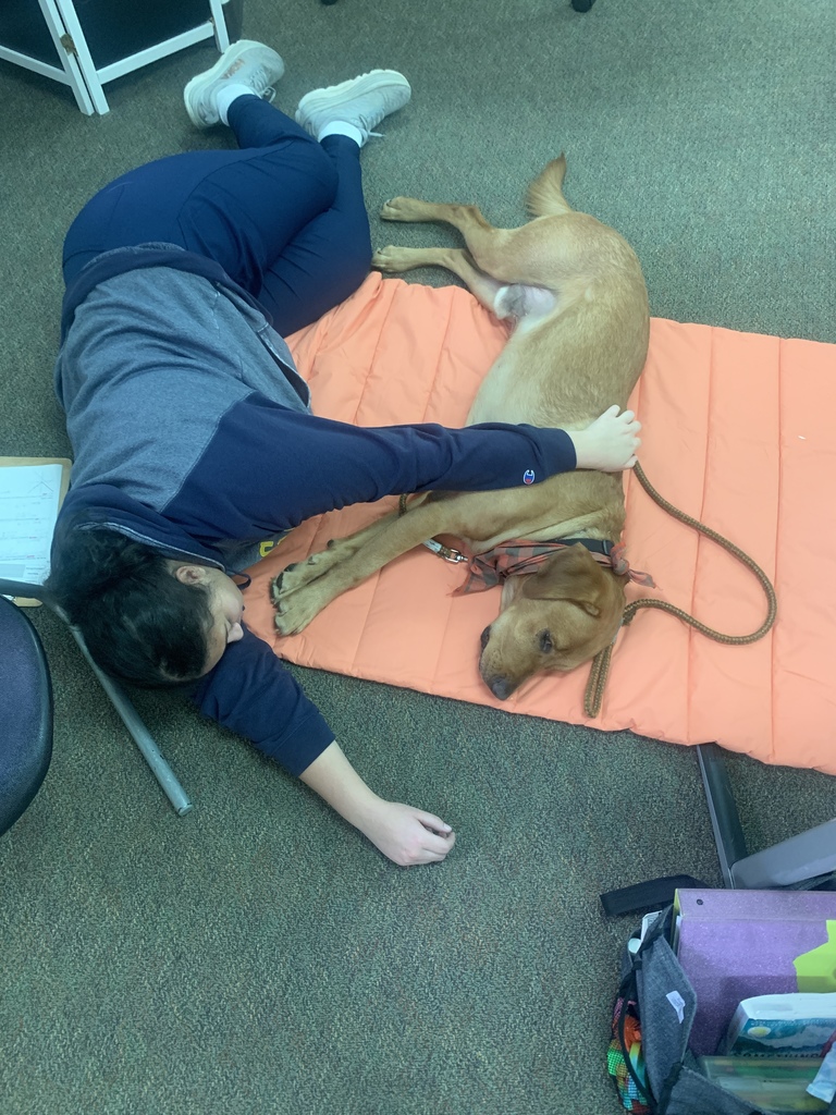 student snuggles with Fletcher