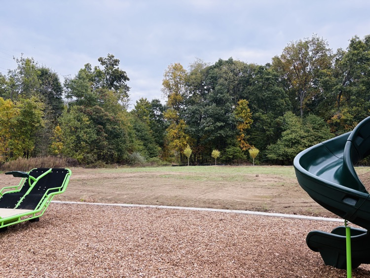 trees seen from outside a playground 