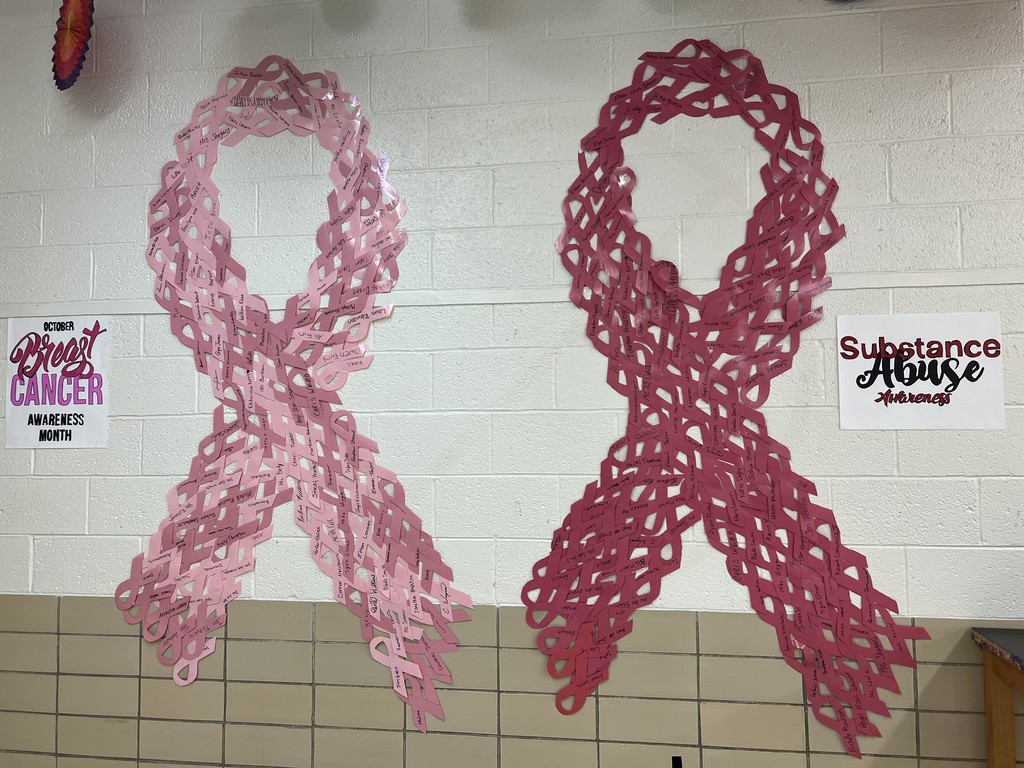 two large ribbons hung on a school wall