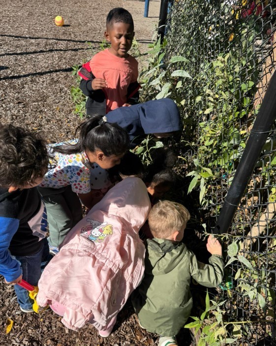 Students looking at trees and leaves.