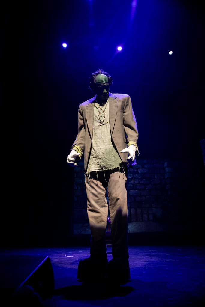 MONSTER ON STAGE DURING YOUNG FRANKENSTEIN THE MUSICAL