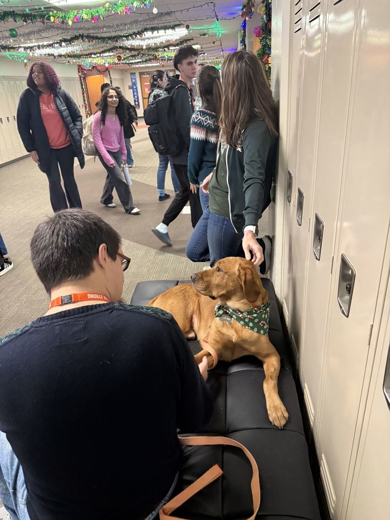 fletcher and friends