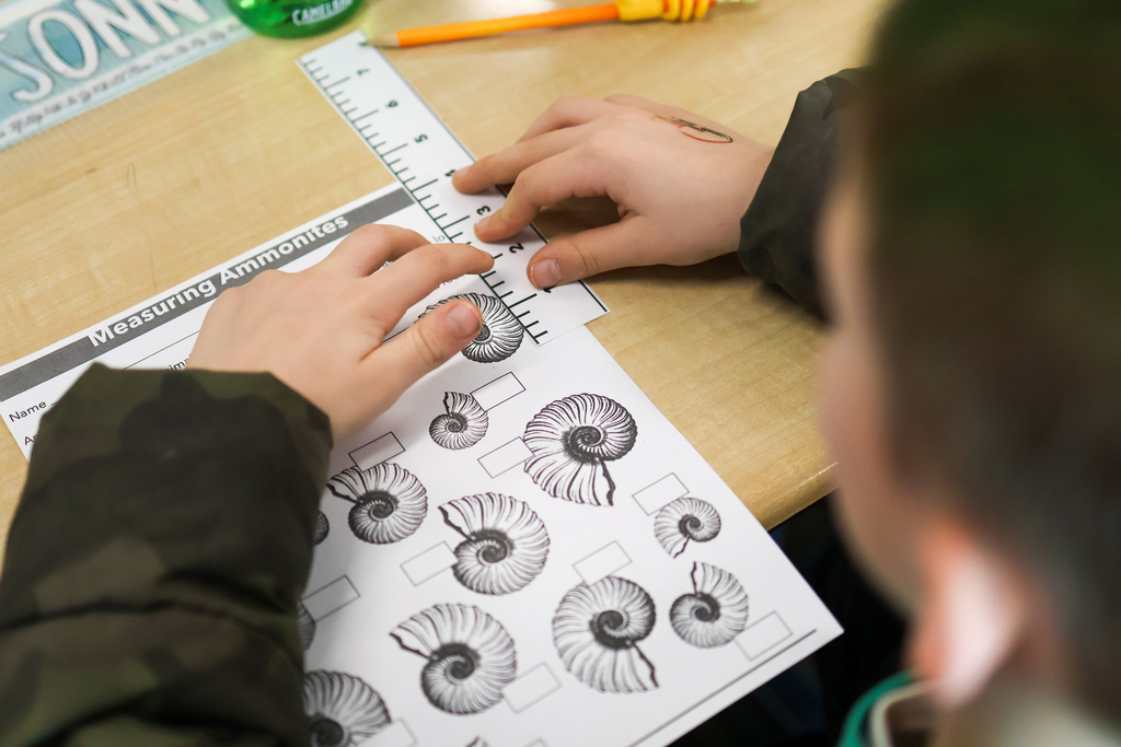 a student using a ruler to measure fossils