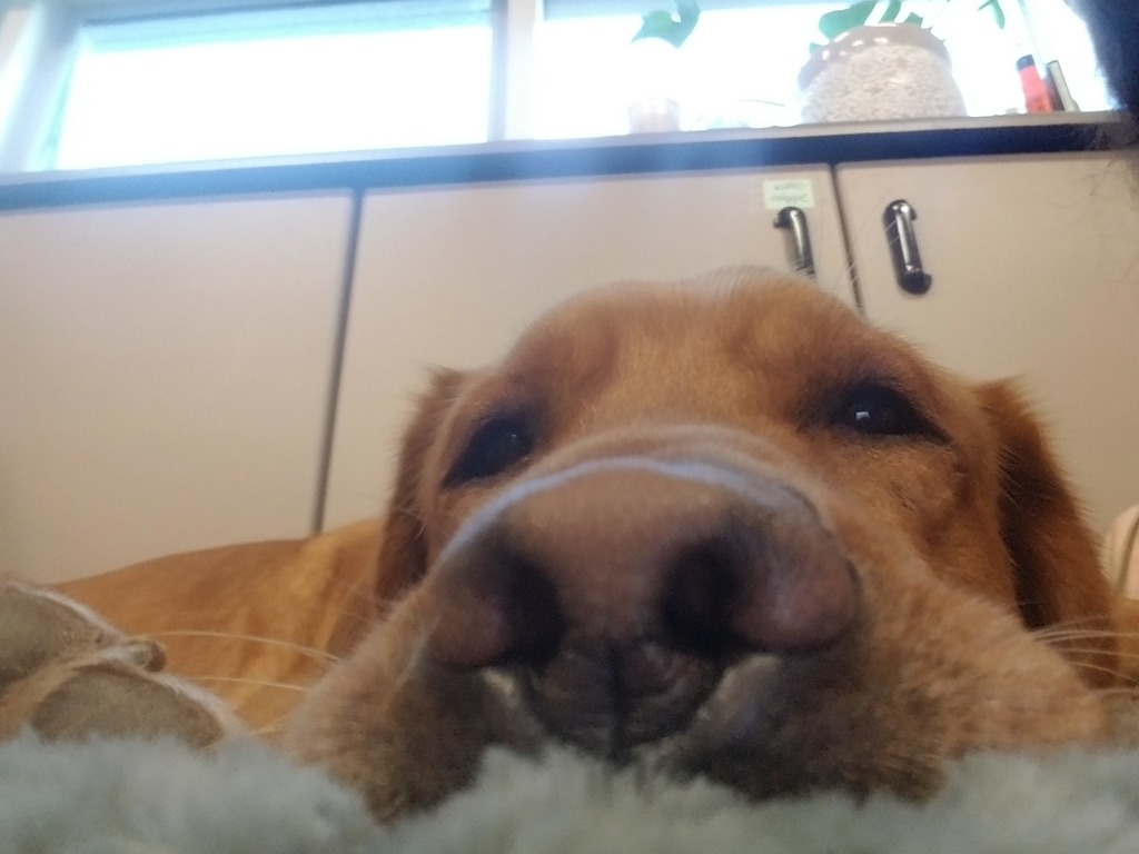 Fletcher's nose and face-close up