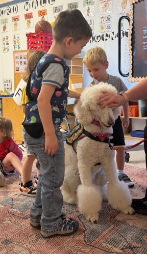 Two male students who are 3 years old putting the top part of a whilte poodle's body.