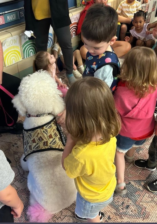 Two male three year olds petting a whilte poodle on the floor together.