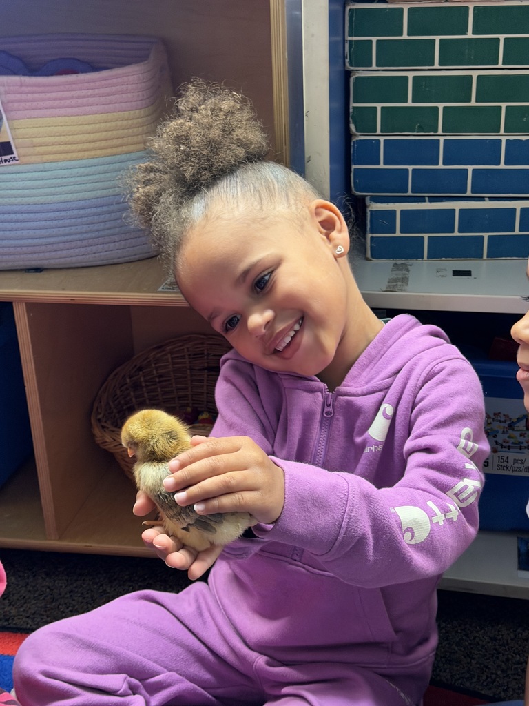 A little girl holding a baby chick in her hands.