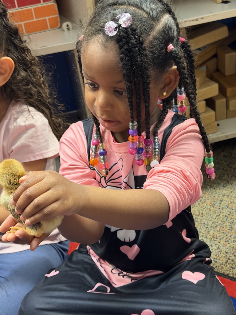A little girl holding a chick in her hands.