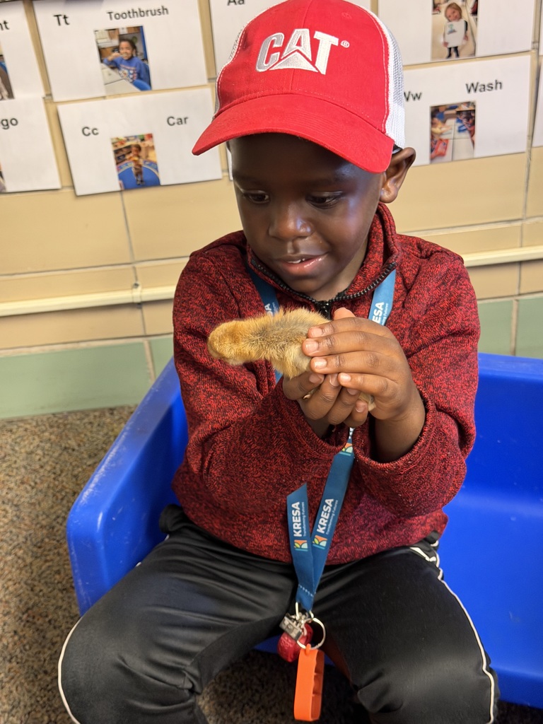 A little boy holding a chick while sitting in a blue chair.