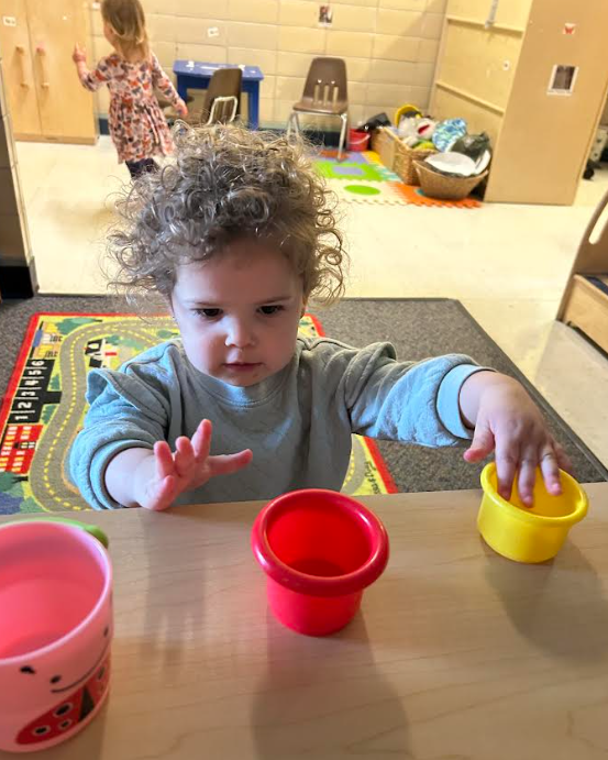 A toddler girl soring bug cups.