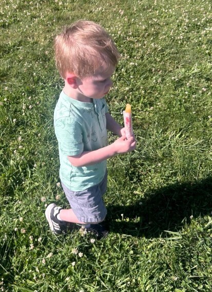 A little boy student eating their popscicle. 