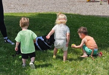 Three toddler boys giving a black lab a dog toy.
