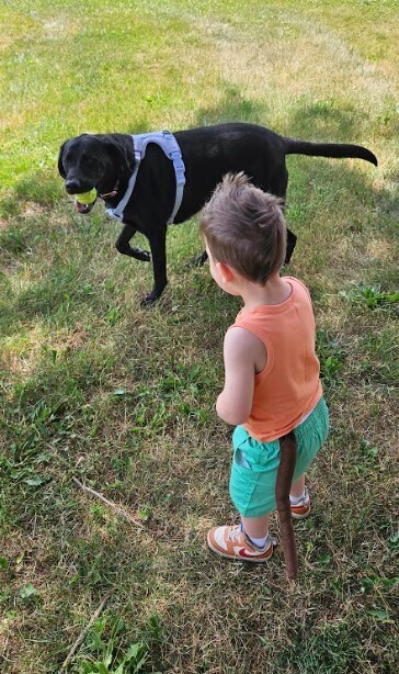 A little boy with a dog tail looking at a black lab.