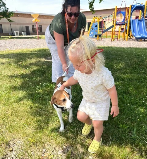 A teacher and a begal dog walking together with a toddler. 