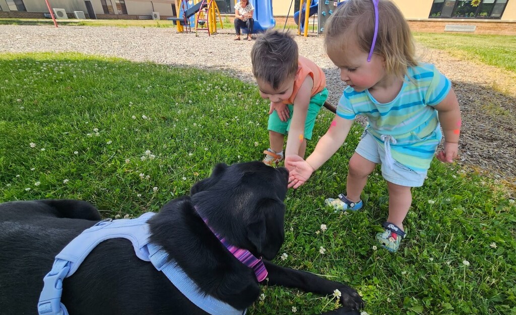 Two toddlers letting a black lab kiss their hand.