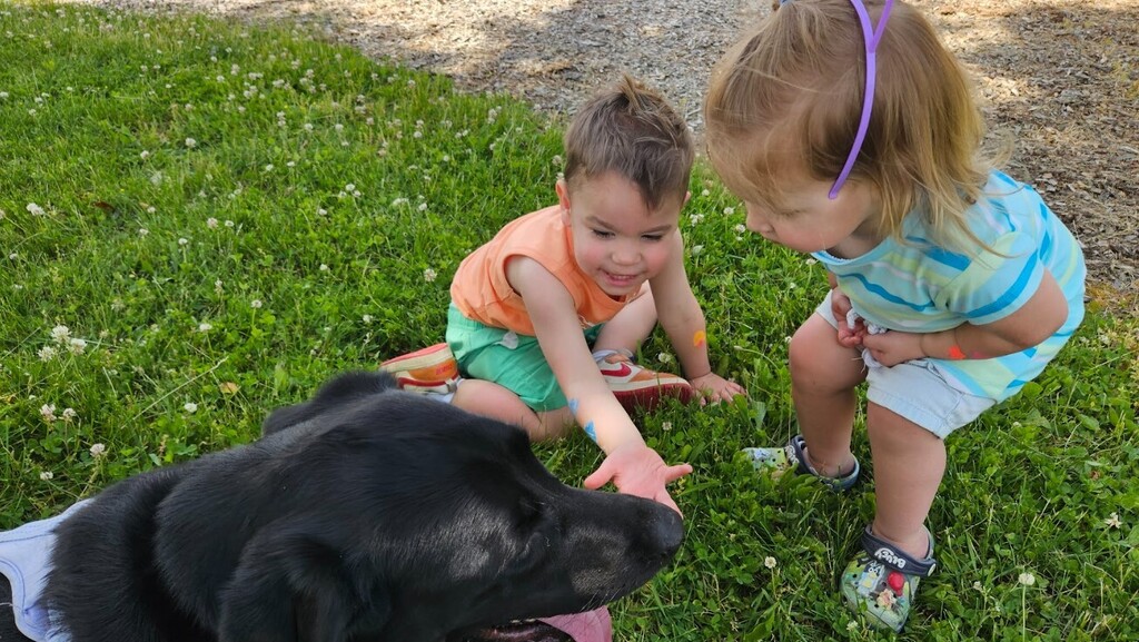 A little boy and a little girl petting a labradore together. 