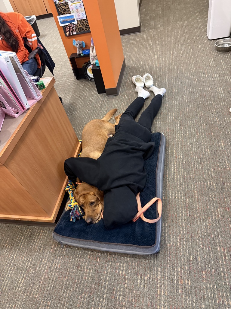 dog and kid on floor cuddleing