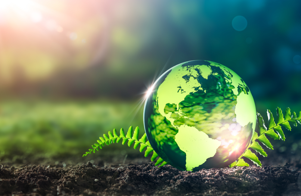 Eco-Friendly Image