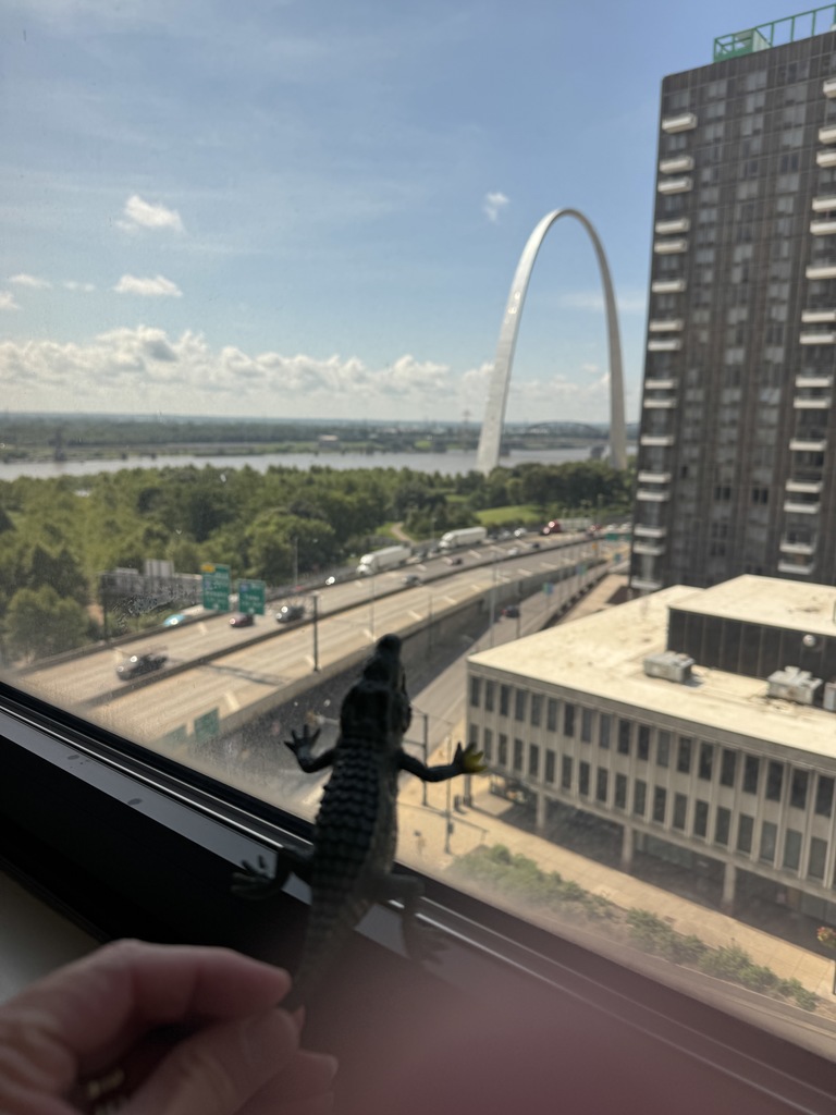 St. Louis 