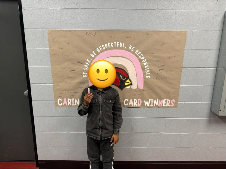 We had so many Caring Cardinal Cards last week, we decided to choose 6 winners!