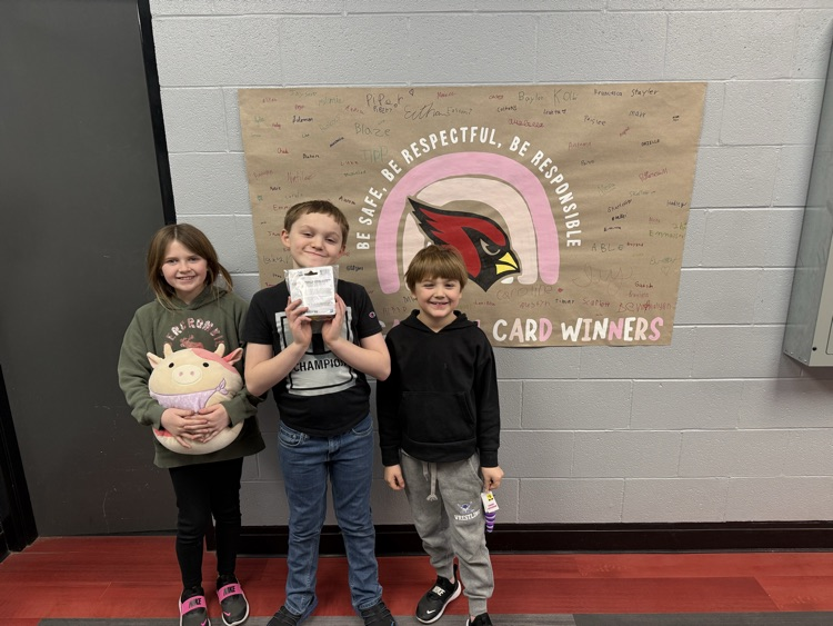 Caring Cardinal Card Winners!