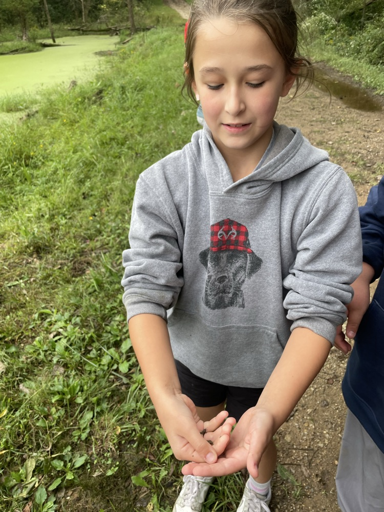 outdoor school