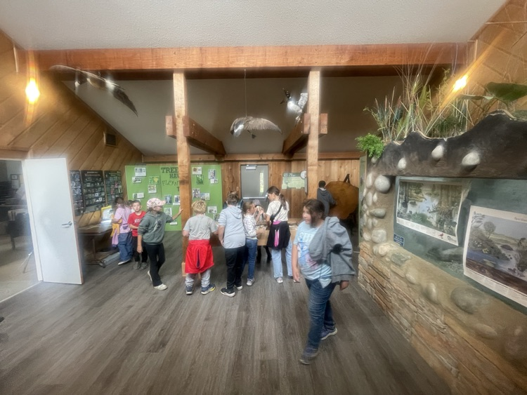 outdoor school