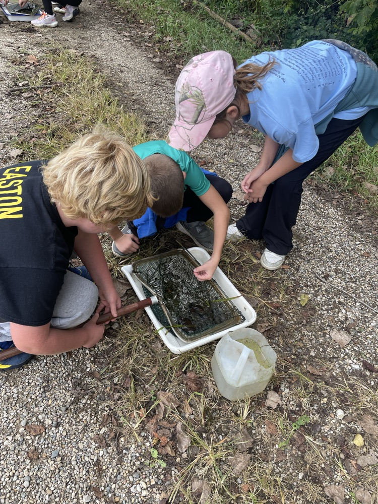 outdoor school