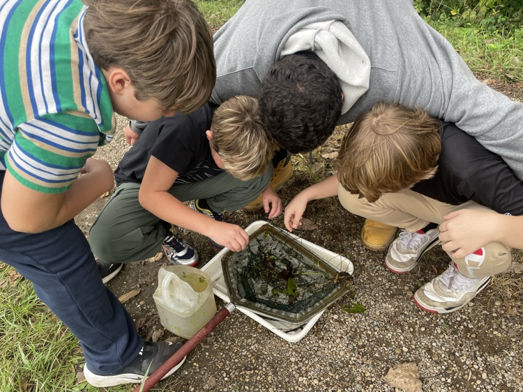 outdoor school