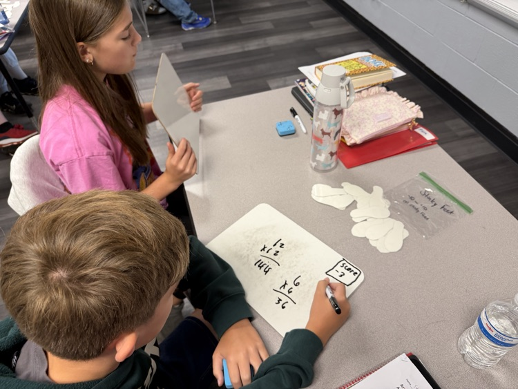 Stinky Feet math review