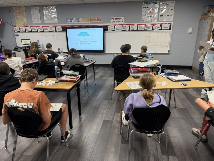 Stinky Feet math review