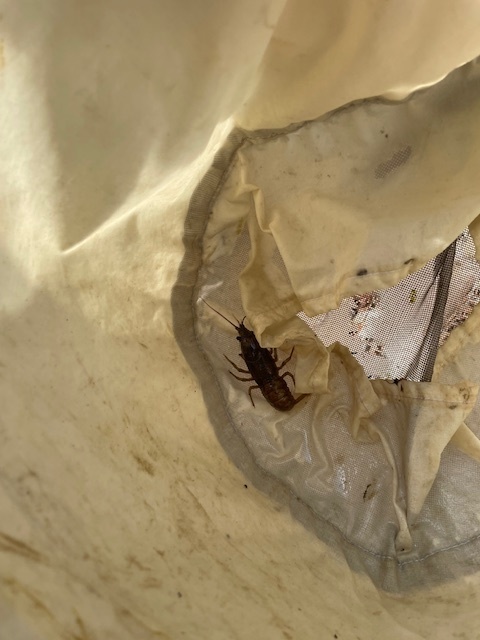 AP Env Science Field Trip