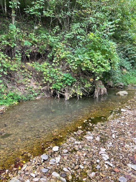 AP Env Science Field Trip