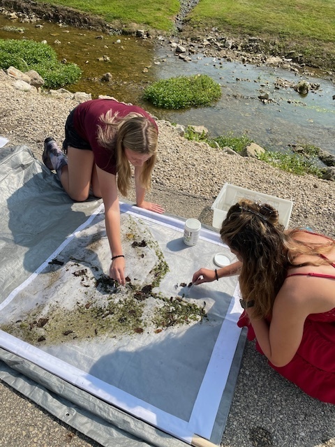 AP Env Science Field Trip