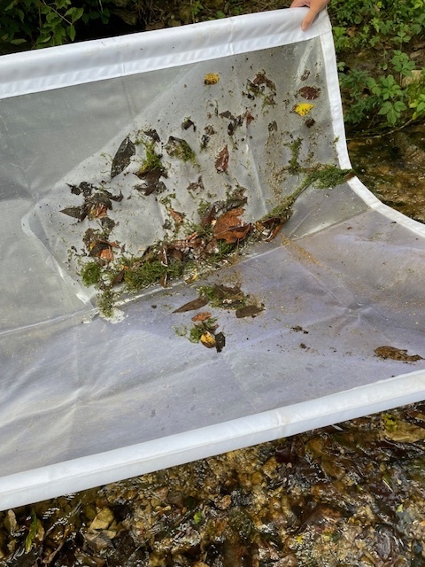 AP Env Science Field Trip