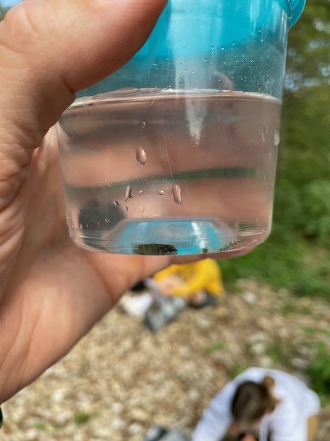 AP Env Science Field Trip