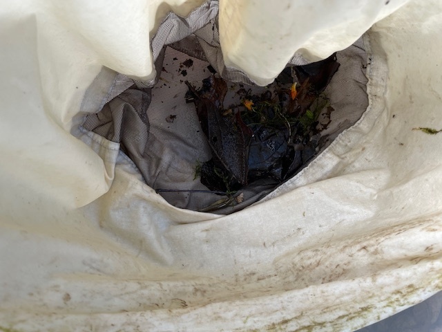 AP Env Science Field Trip