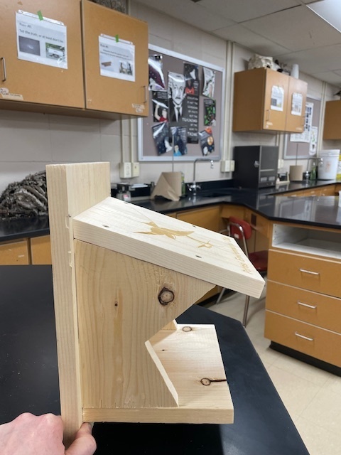 Barn Swallow Nest Box
