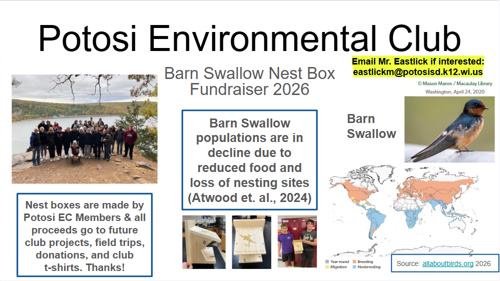 Barn Swallow Nest Box