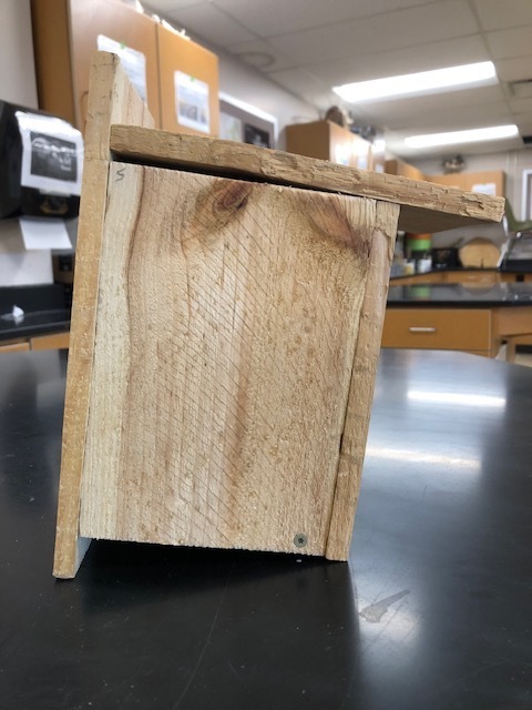 Environmental Club Sale