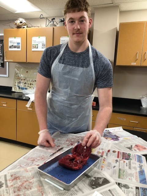 Anatomy and Physiology class