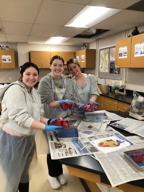 Anatomy and Physiology class